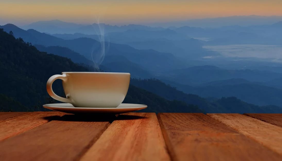 Как сделать сайт быстрее. Быстрая загрузка сайта